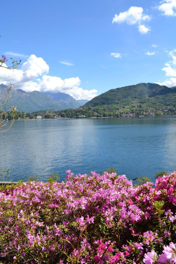 Le Terrazze Vista Lago Piscina Tennis Parking Wi-Fi Menaggio Room photo